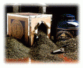 /album/nos-photo/sortesthes-gif/